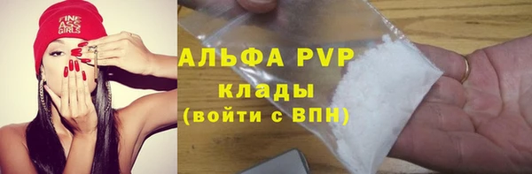 соль ск Белокуриха