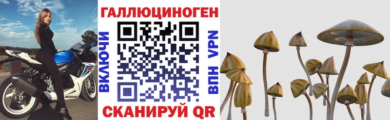 гидра ТОР  Болгар  Псилоцибиновые грибы прущие грибы 